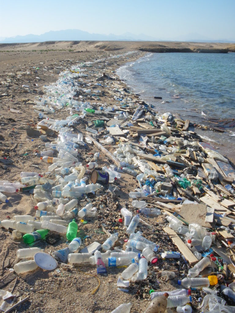plage polluée par les plastiques